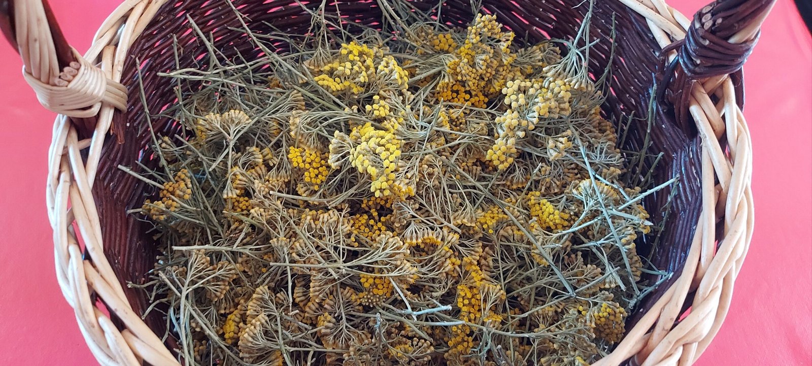 Savon à l’Immortelle Corse – Soin Naturel Régénérant & Apaisant pour la Peau 4 Savon immortelle Corse
